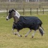 Derka padokowa 150g 1200D IRISH - Bucas - black/gold